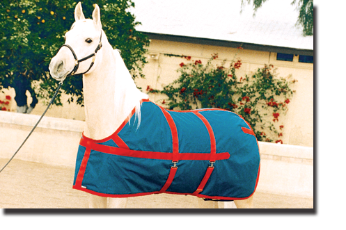 Navy & Red Equi-Lite Blanket with Closed Front