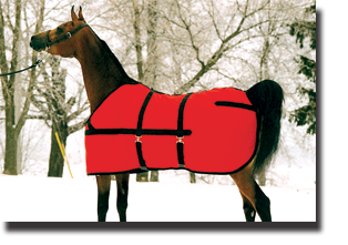 show coat horse blanket with hood