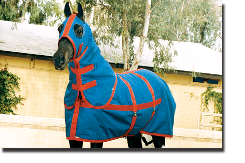 Navy & Red Equi-Lite Blanket and Hood with Velcro Fasteners