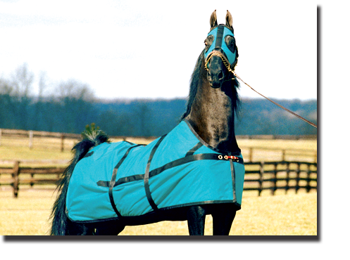 Teal & Black Equi-Lite Blanket with Closed Front and Scotch Hood